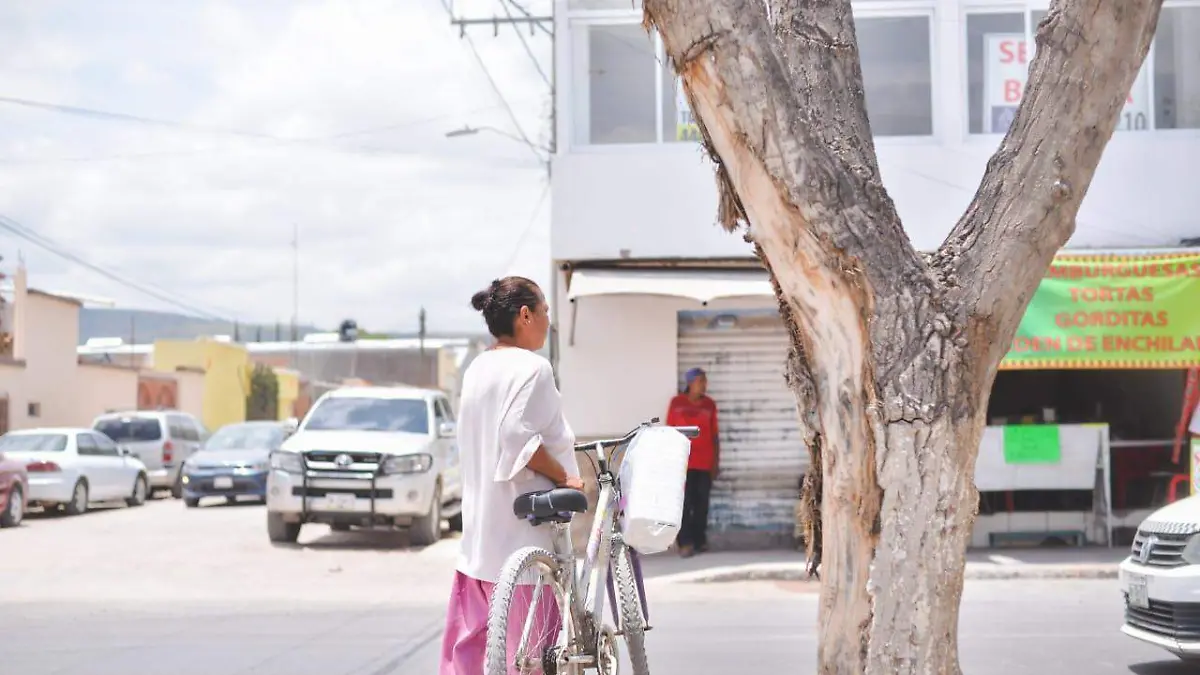 Mujeres, alerta de violencia de género (3)